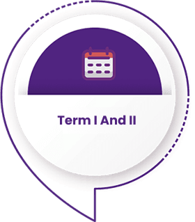 Programme Overview Term