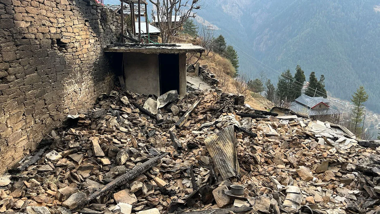 Resilience is a human superpower