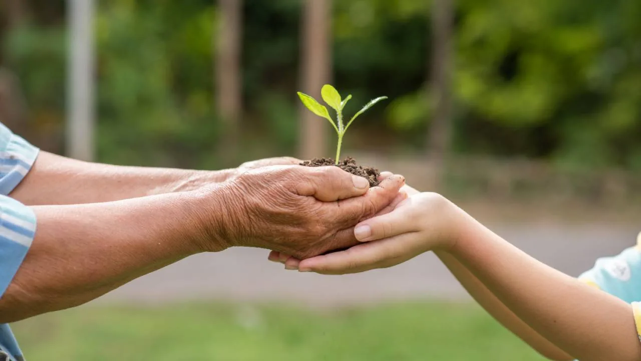 Know thy necessity entrepreneur: Fulfil your social responsibility to have a better impact