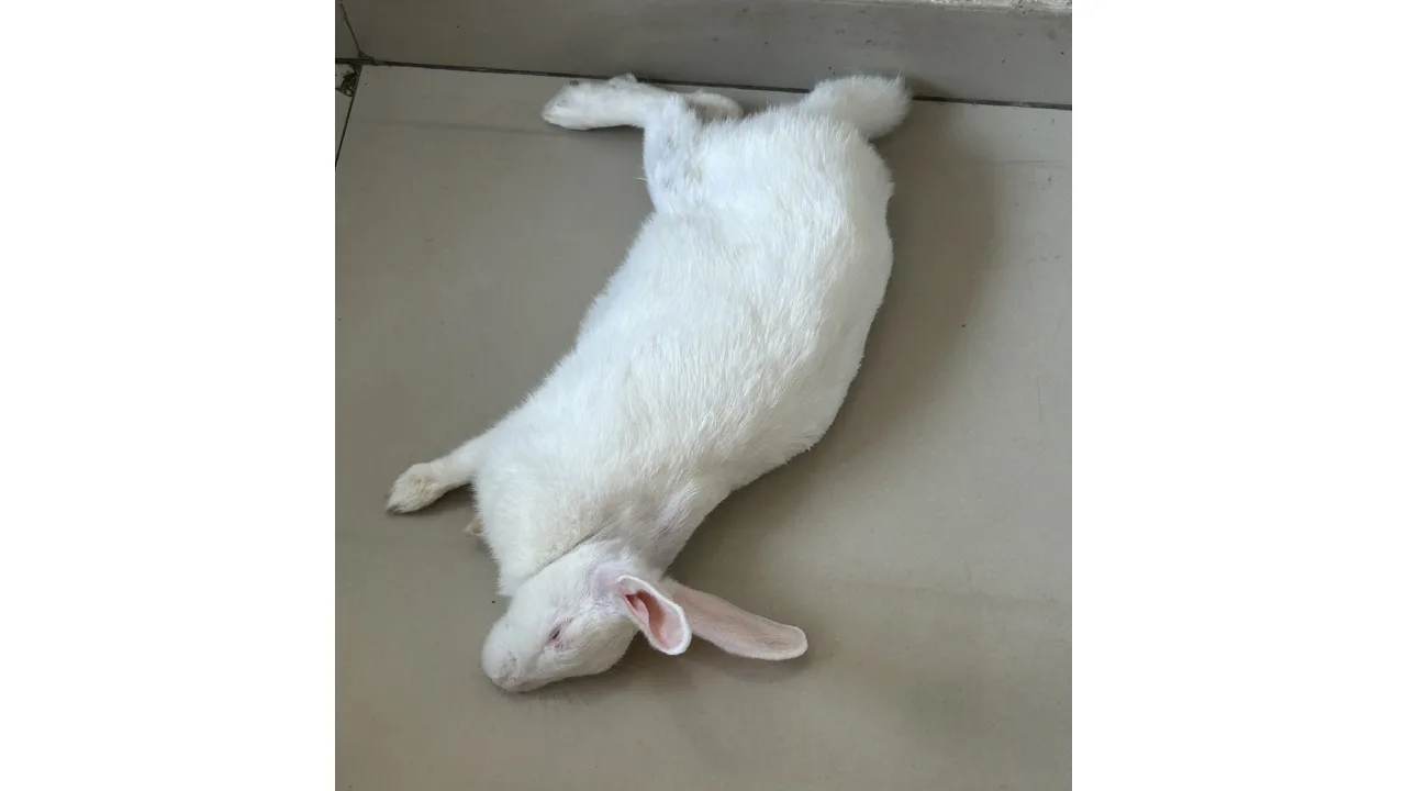 Abhyudaya: Learning through empathy Abhyudaya: Learning through empathy