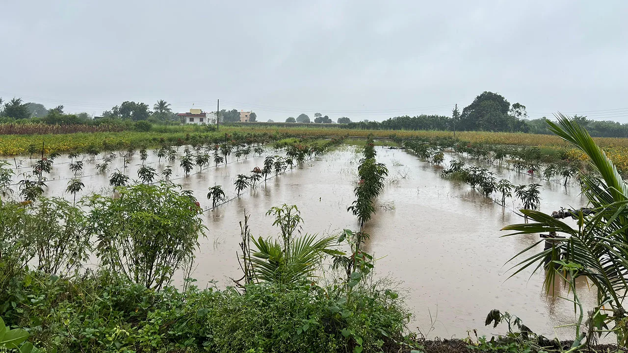 #DoCCDiaries: After the deluge: Field notes from Osmanabad