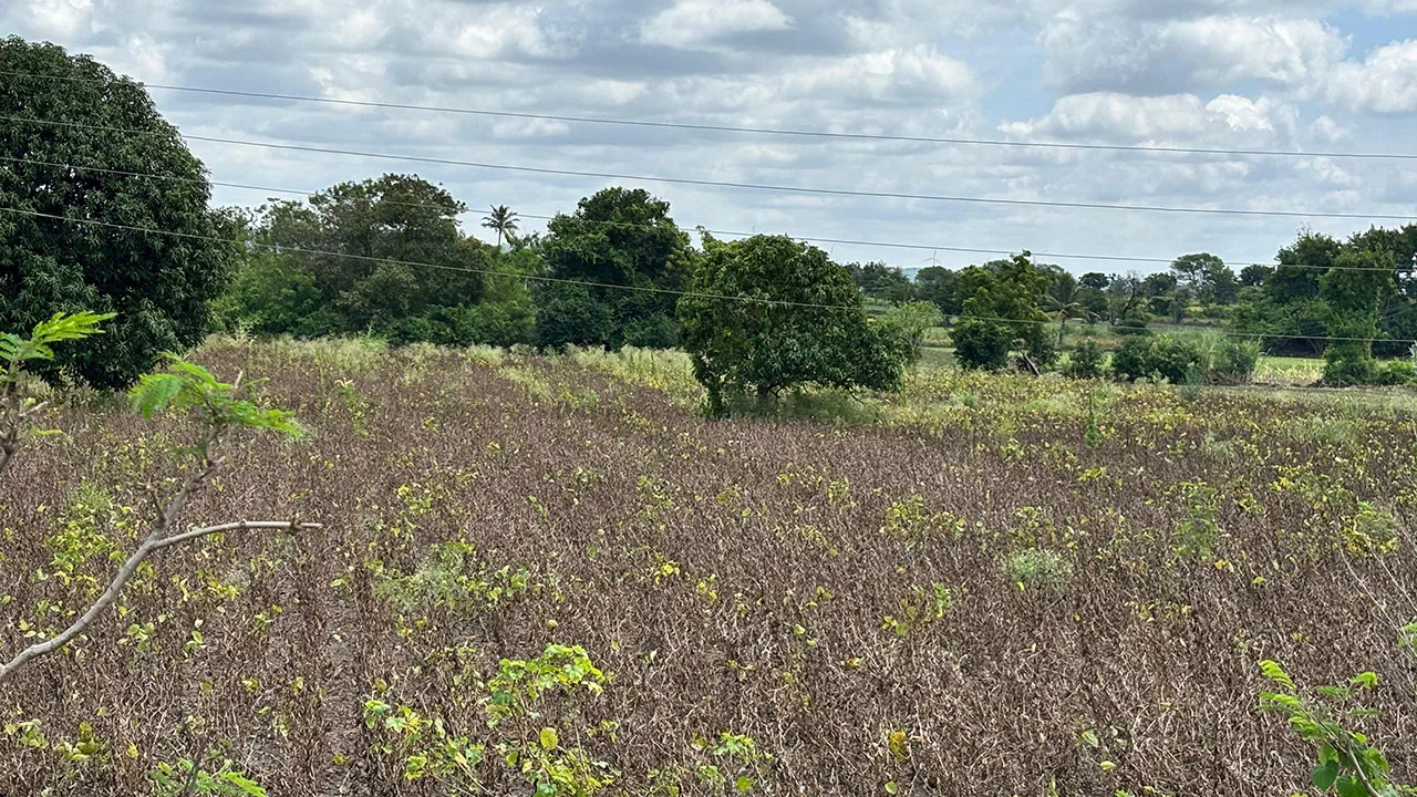 #DoCCDiaries: After the deluge: Field notes from Osmanabad