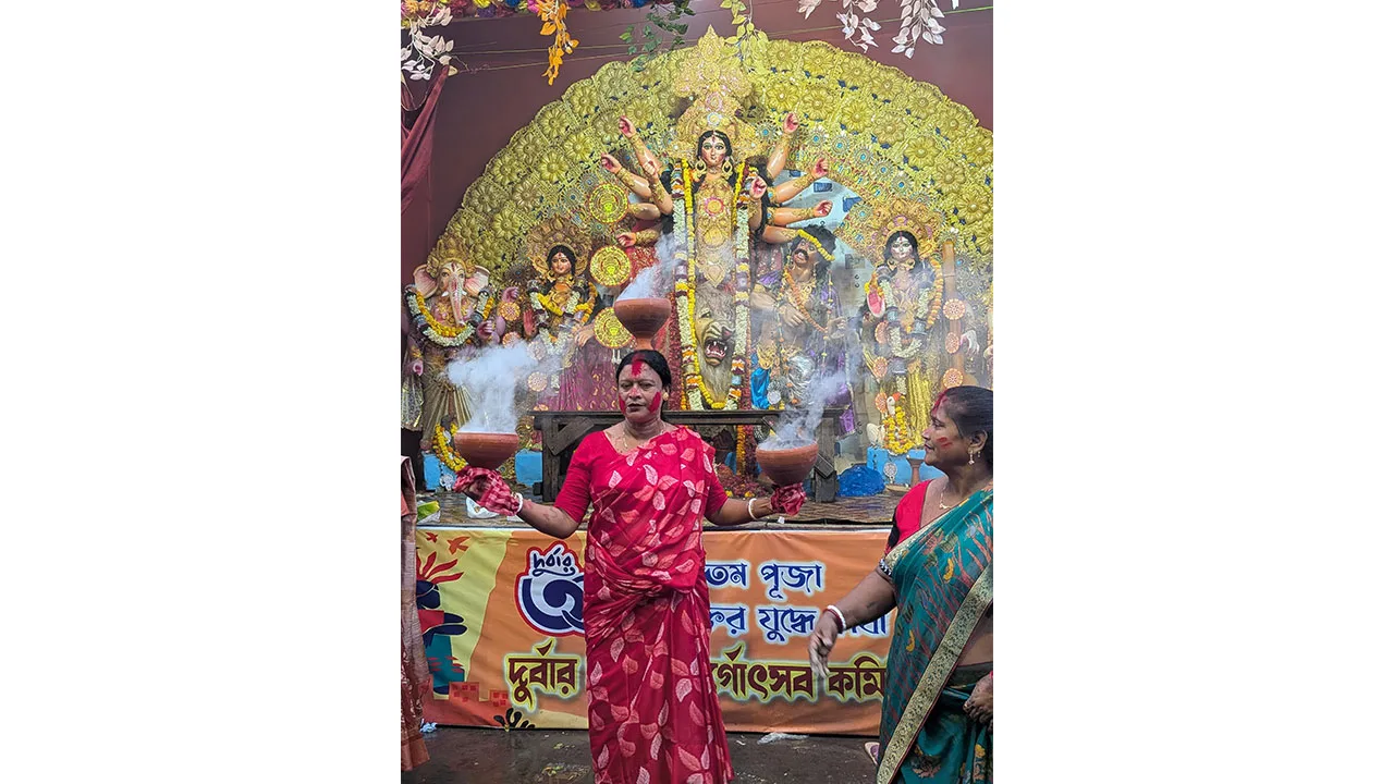 #DoCCDiaries: In the goddess’s shadow: Voices from Durga Pujo