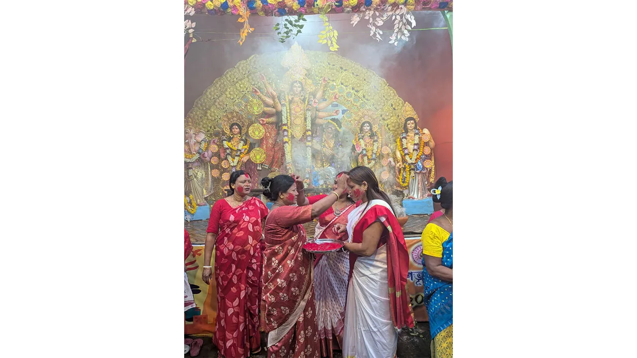#DoCCDiaries: In the goddess’s shadow: Voices from Durga Pujo