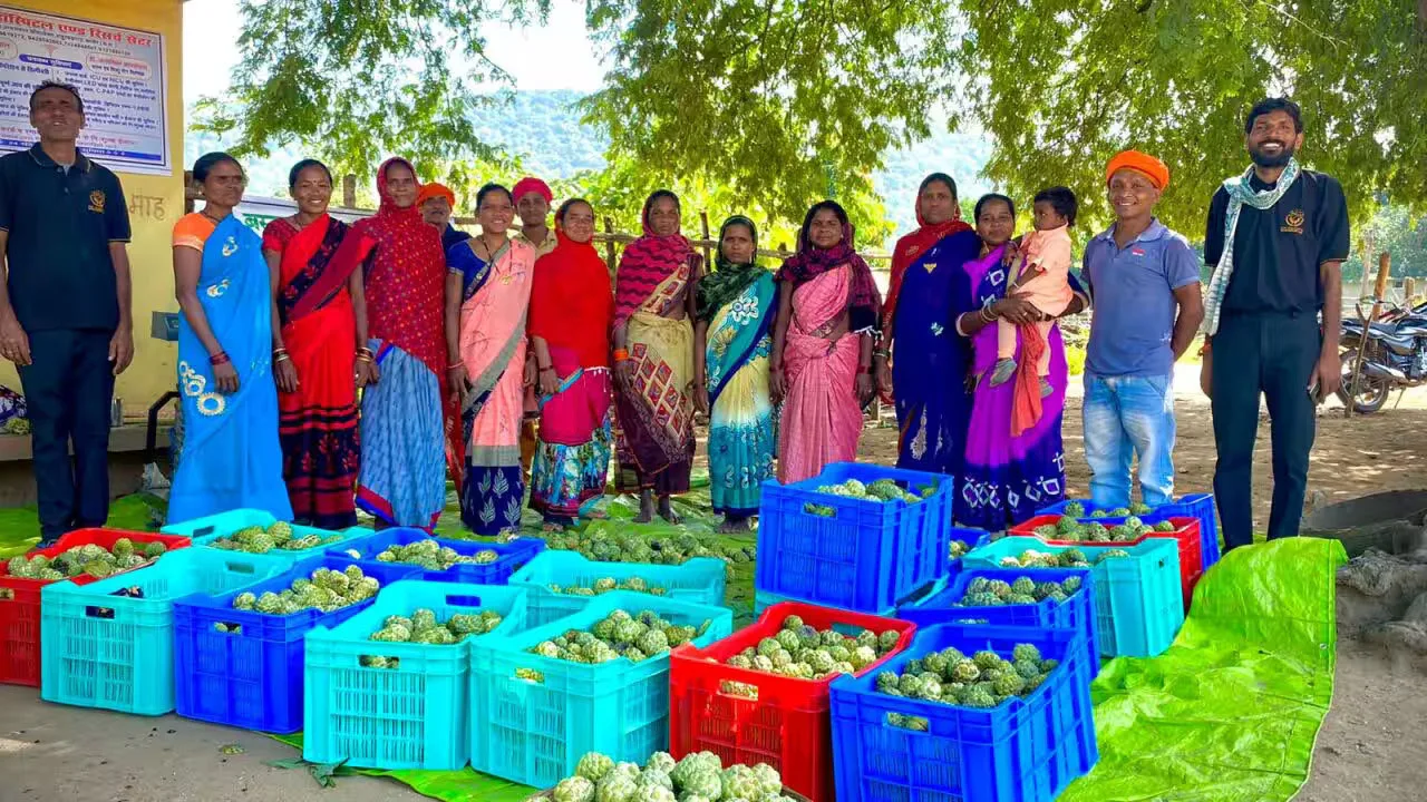 From Bastar to a ₹1 Crore Bazaar: How Satendrasingh Lilhare empowered tribal farmers