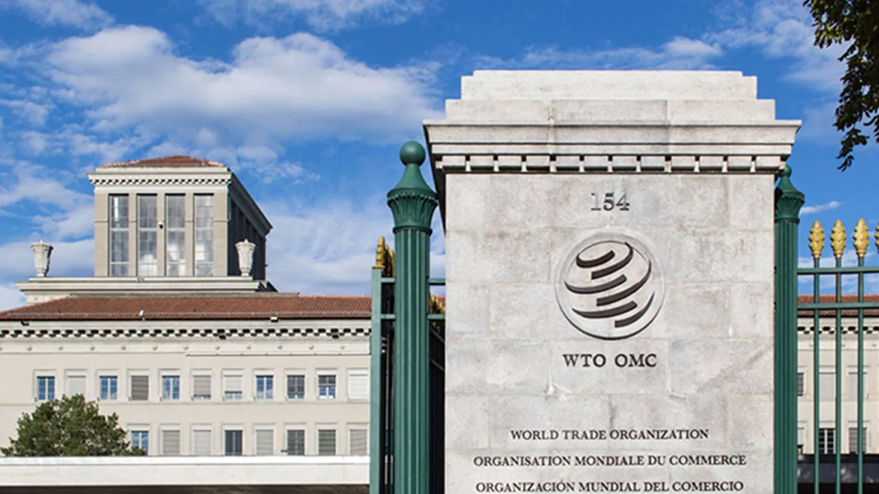 Pre-trends matter for estimating the causal effect of the WTO on bilateral trade Pre-trends matter for estimating the causal effect of the WTO on bilateral trade