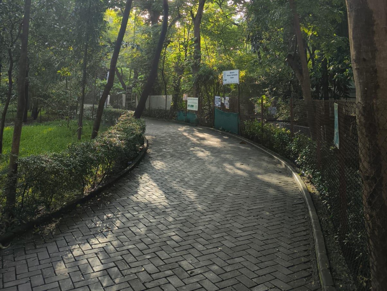 Have you ever found yourself on a path you never planned, only to realise it’s exactly where you were meant to be?