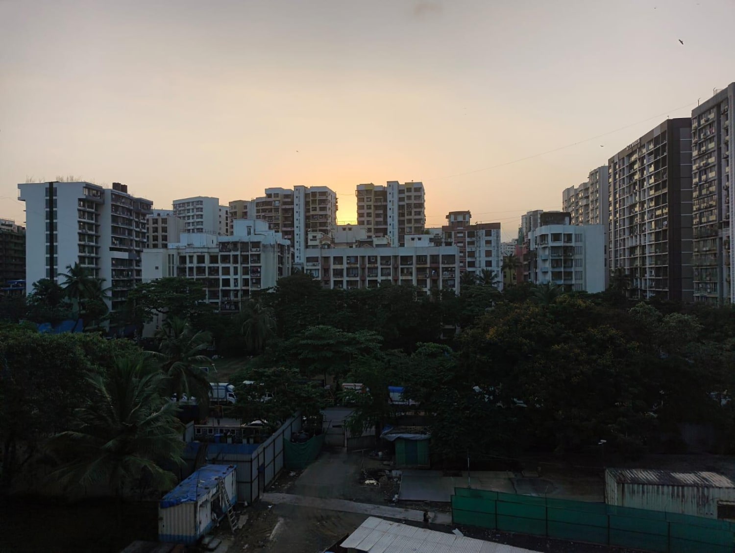 Have you ever found yourself on a path you never planned, only to realise it’s exactly where you were meant to be?