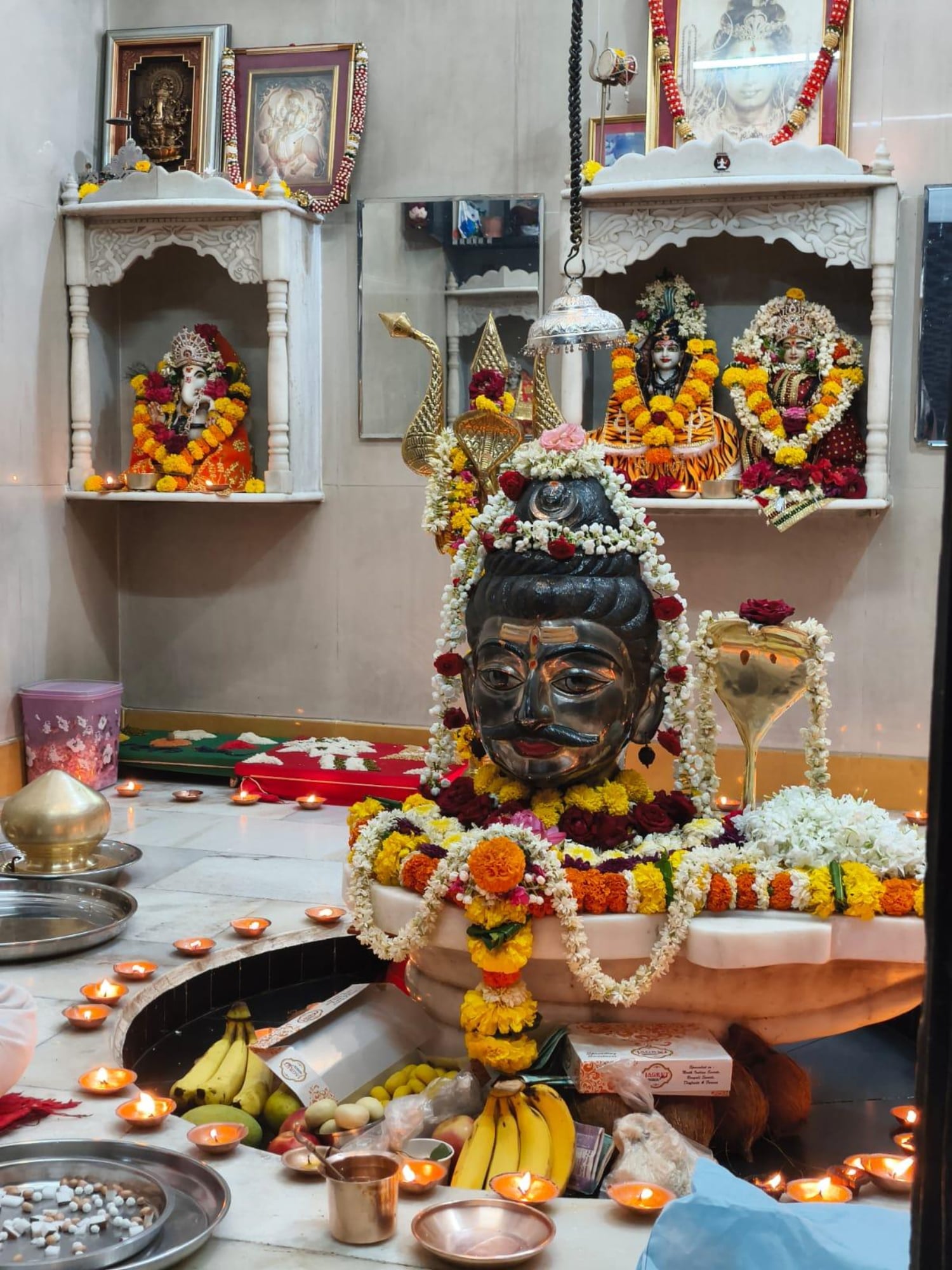 Have you ever found yourself on a path you never planned, only to realise it’s exactly where you were meant to be?