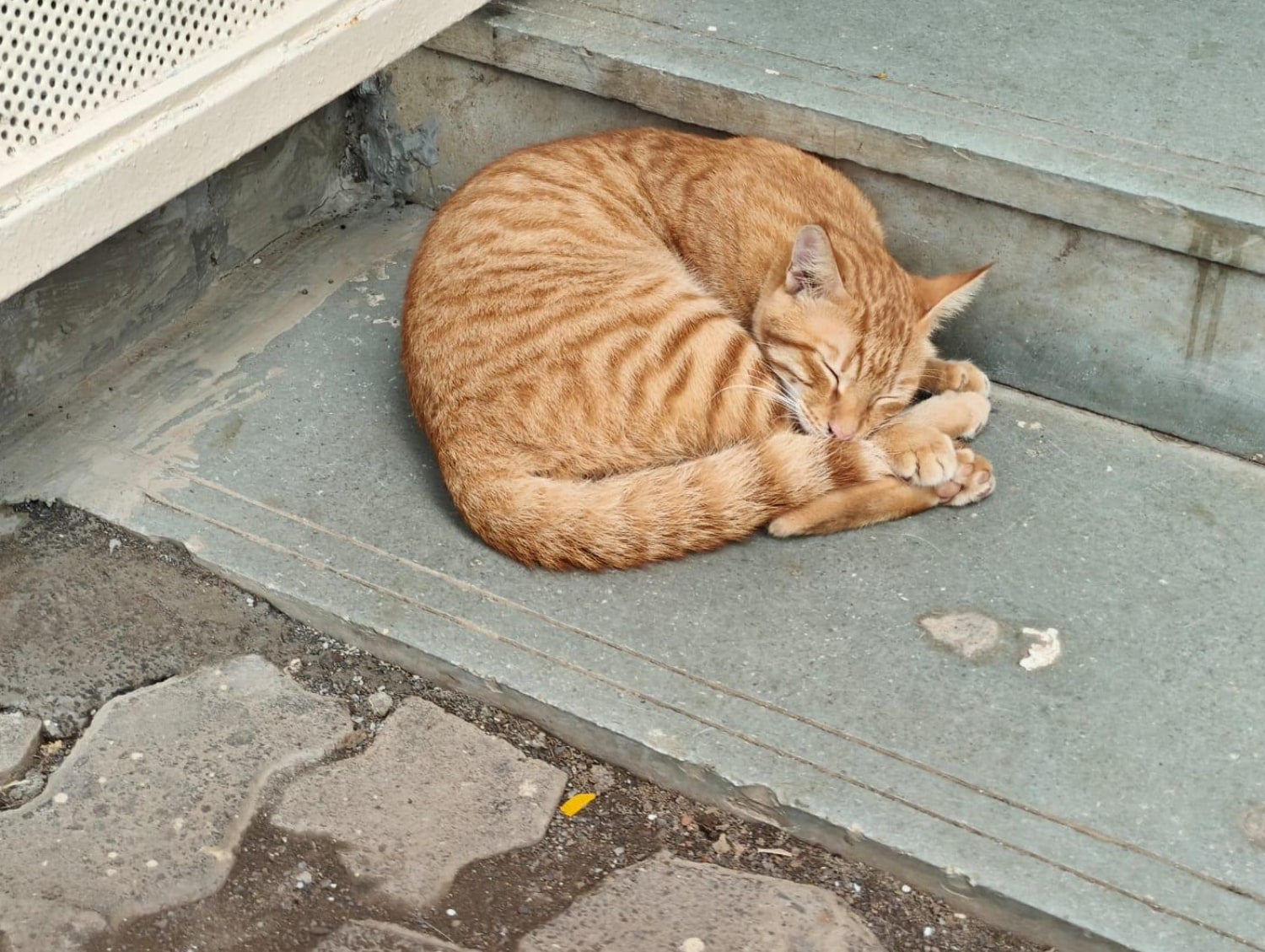 Have you ever found yourself on a path you never planned, only to realise it’s exactly where you were meant to be?