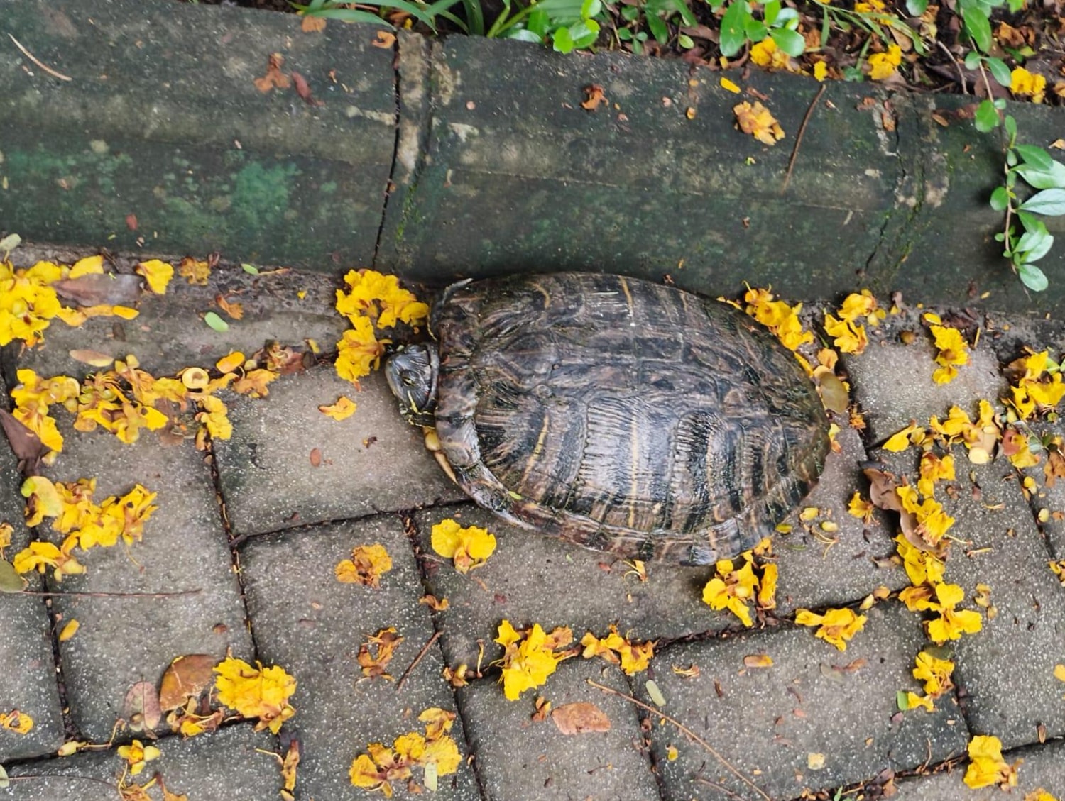 Have you ever found yourself on a path you never planned, only to realise it’s exactly where you were meant to be?