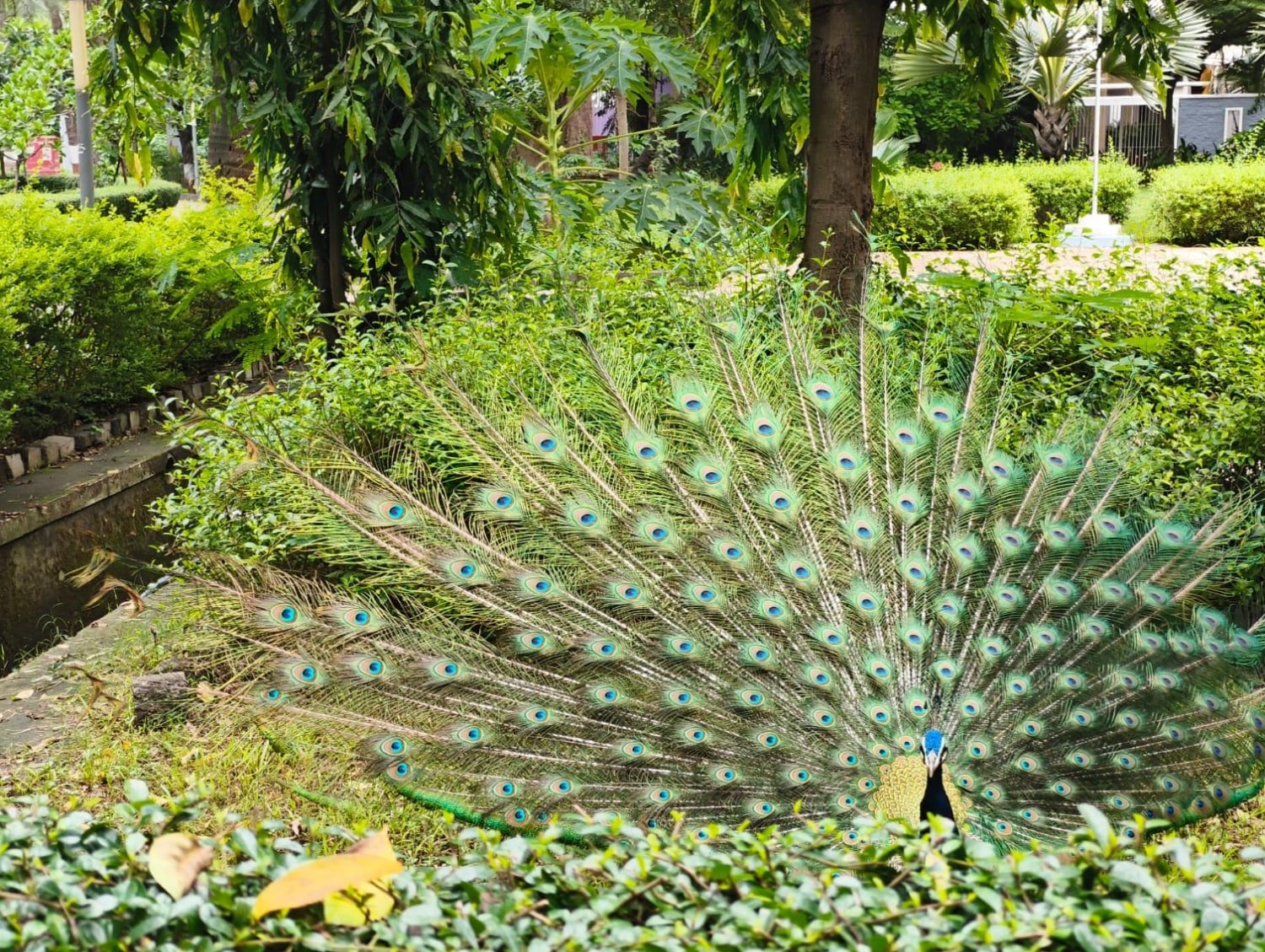 Have you ever found yourself on a path you never planned, only to realise it’s exactly where you were meant to be?