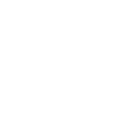 problem-solving skills