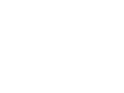 Social Impact Grants